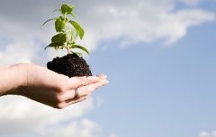 iso9000与iso9001的区别